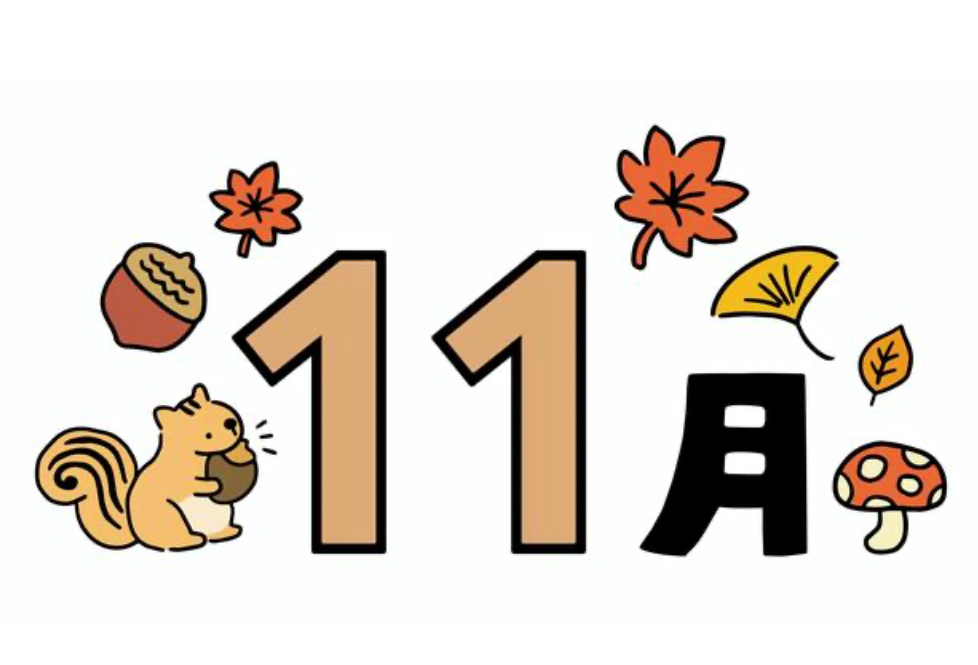 11月スタート🍂